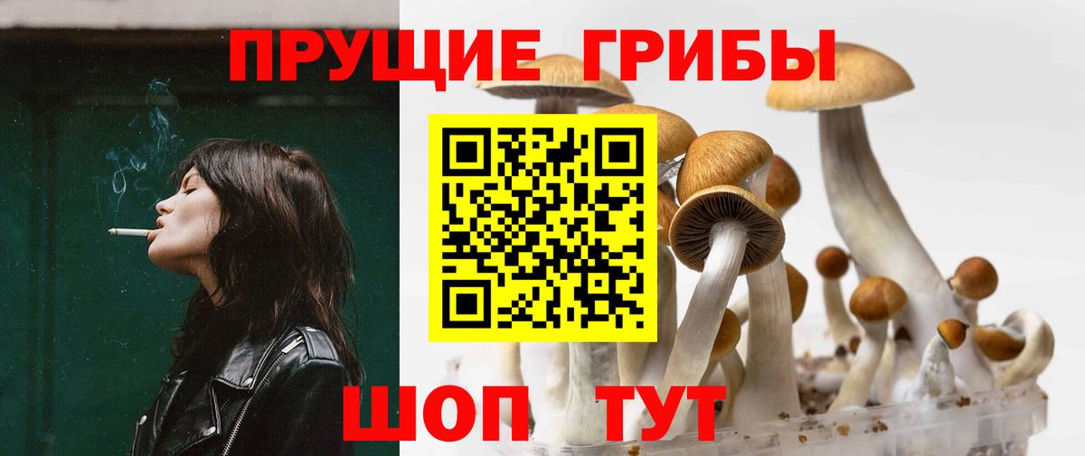 Псилоцибиновые грибы GOLDEN TEACHER  Вход с VPN  Краснотурьинск 
